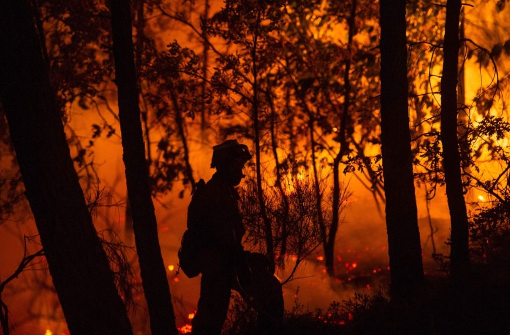 Mehr als 2000 Feuerwehrleute kämpften in Portugal in mehreren Regionen gegen die Flammen.