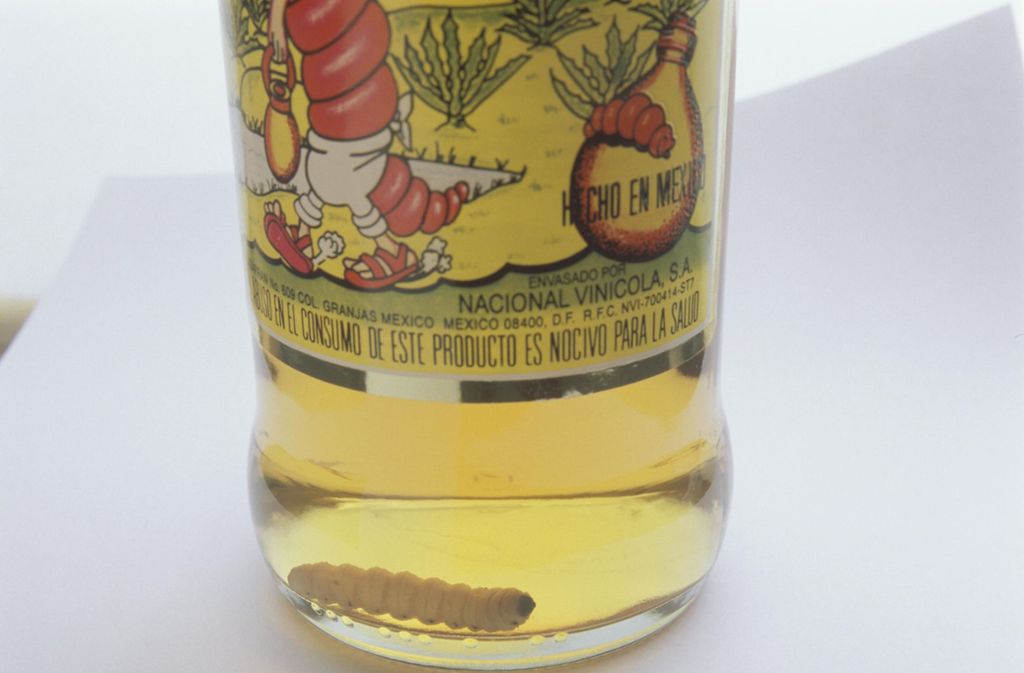 Wurm-Schnaps: Mezcal ist eine Spirituose aus Mexiko, die aus Agaven gewonnen wird. Einige Mezcal-Marken enthalten eine Schmetterlingsraupe, die dem Getränk beim Abfüllen beigefügt wird.