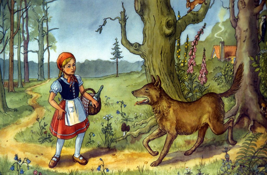 Die Geschichte von Rotkäppchen trägt dazu bei, dass dem Wolf im im 19. Jahrhundert endgültig der Garaus gemacht wird.
