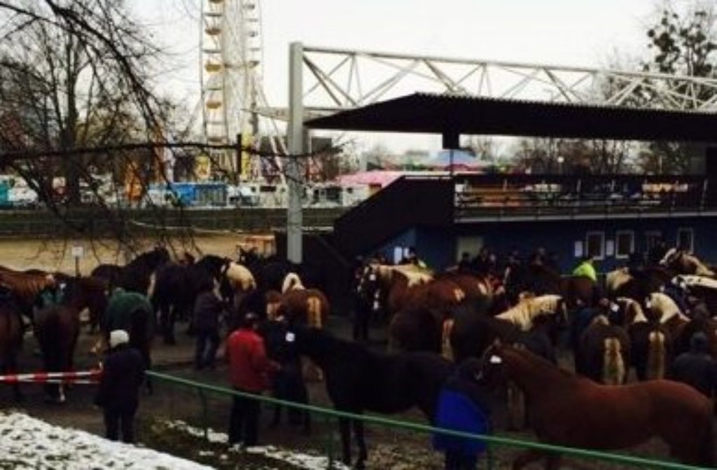 Pferdeprämierung im Reiterstadion