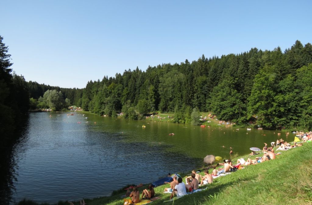 Der Eisenbachsee liegt idyllisch mitten im Wald.