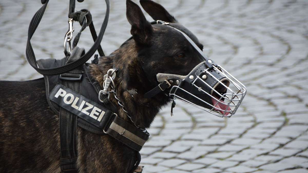 Polizeibericht aus Weissach: Nicht angeleinter Hund beißt Frau