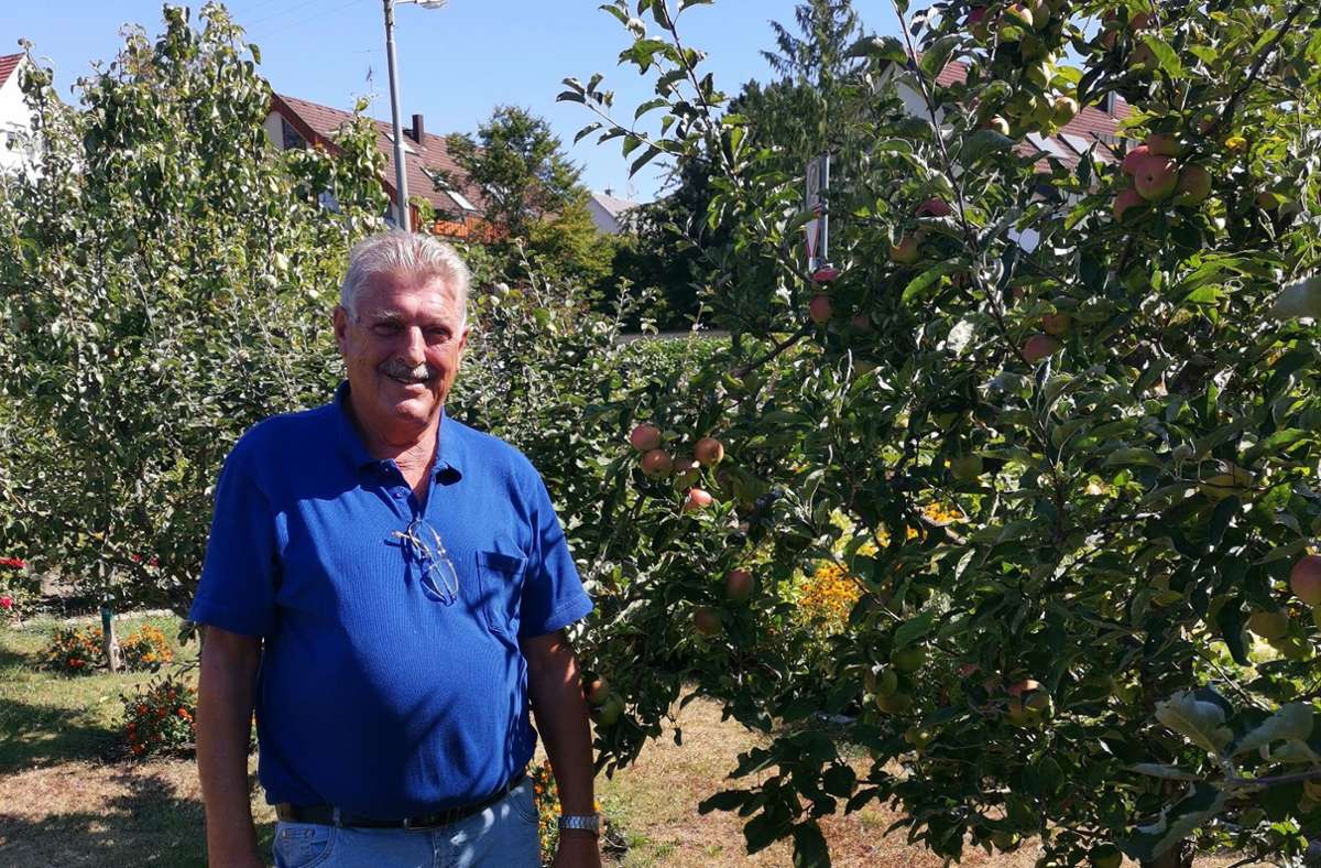 Christian Tschugmell ist stolz auf seine Apfelbäume. Die Ernte reicht bis ins Frühjahr hinein.