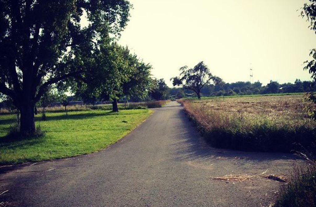 Meine Jogging-Strecke führt durch ziemlich idyllische Landschaft.