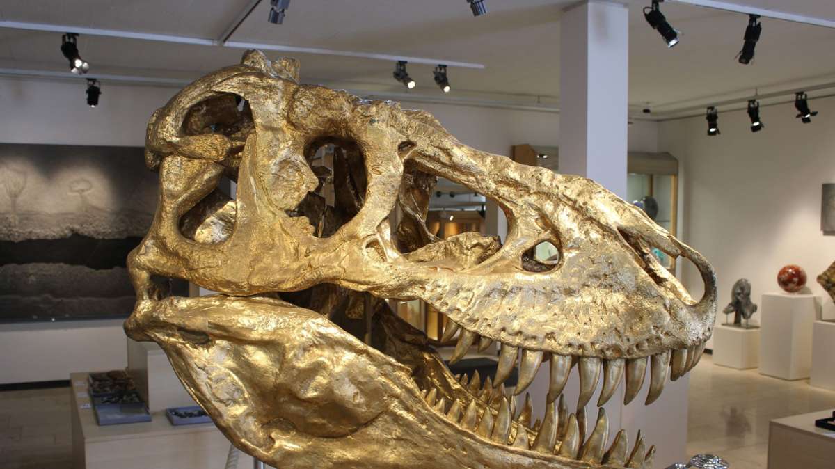 Ein Higlight in der Mitte des Raums: der goldfarbene T-Rex-Schädel.