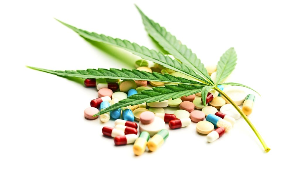 Einsatz von Cannabis als Medikament: Die Umstands-Droge