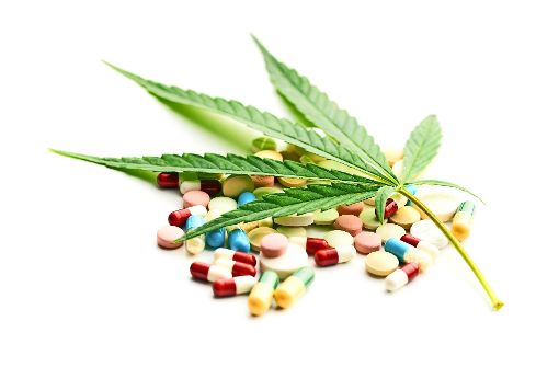 Cannabis ist der Shootingstar unter den Arzneimitteln, wird aber als solches nur begrenzt eingesetzt. Foto: 89924693