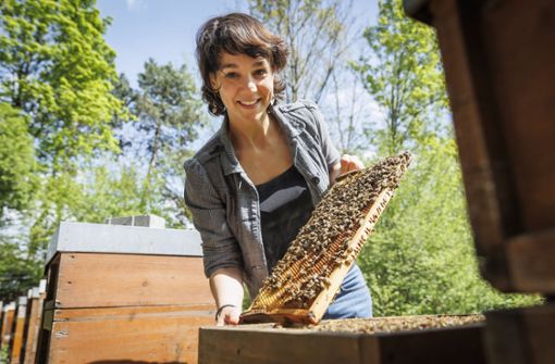 Kirsten Traynor hat sich der Biene verschrieben. Foto: Lichtgut/Julian Rettig