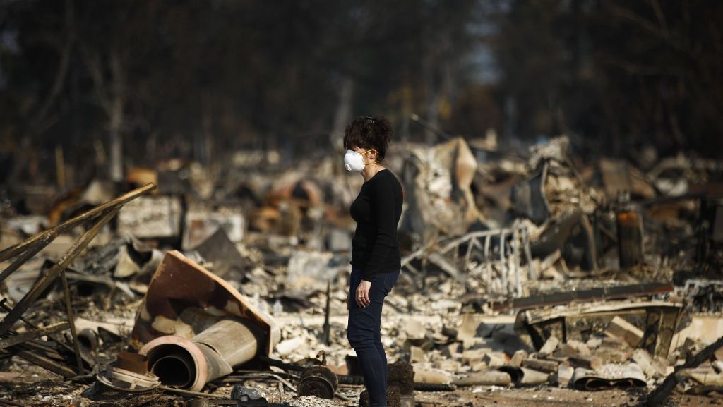 Verheerende Brände in Kalifornien: Inferno im Weinparadies