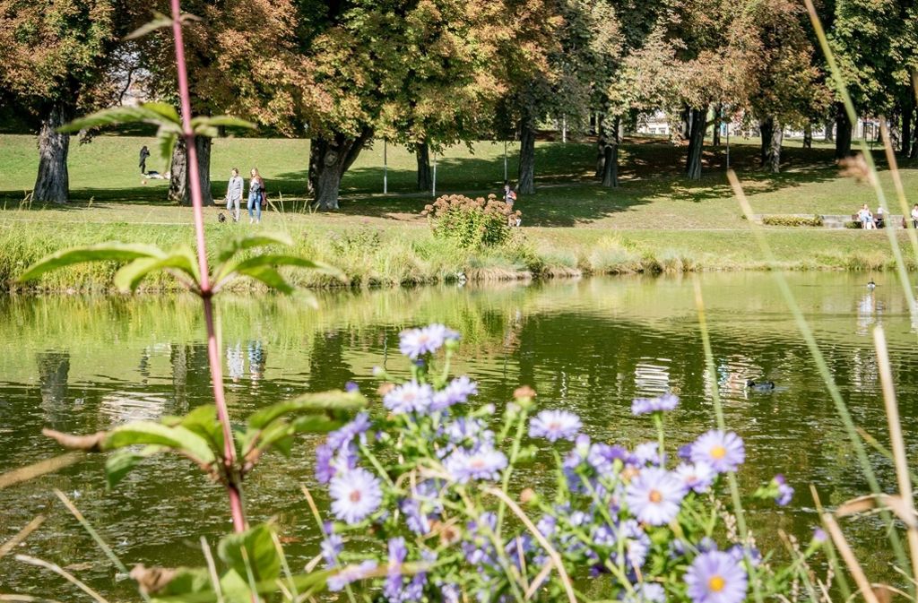 Der Schlosspark ist dank seiner Wasserstellen eines der beliebtesten Ziele am vergangenen Wochenende gewesen.