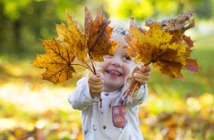 Schöne Herbst-Erlebnisse für Kinder