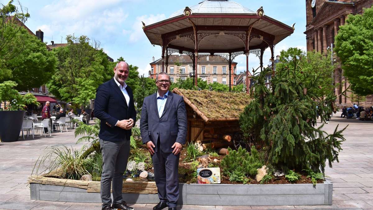 Leonberger Partnerstadt: Was Belfort alles zu bieten hat