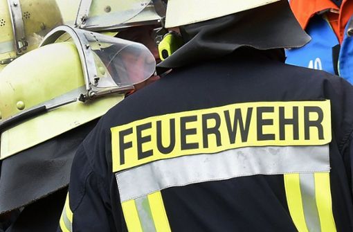 Die Freiwillige Feuerwehr Möglingen war mit 21 Wehrleuten im Einsatz. Foto: picture alliance/dpa/Holger Hollemann