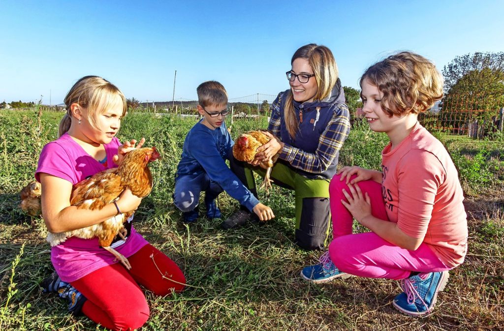 Die neue Leiterin des Schulbauernhofs Zukunftsfelder, Lisa Gräs, erzählt Kindern alles Wichtige über Hühner. Mehr Bilder vom Schulbauernhof finden Sie in unserer Bildergalerie. Klicken Sie sich durch. Foto: factum/Bach