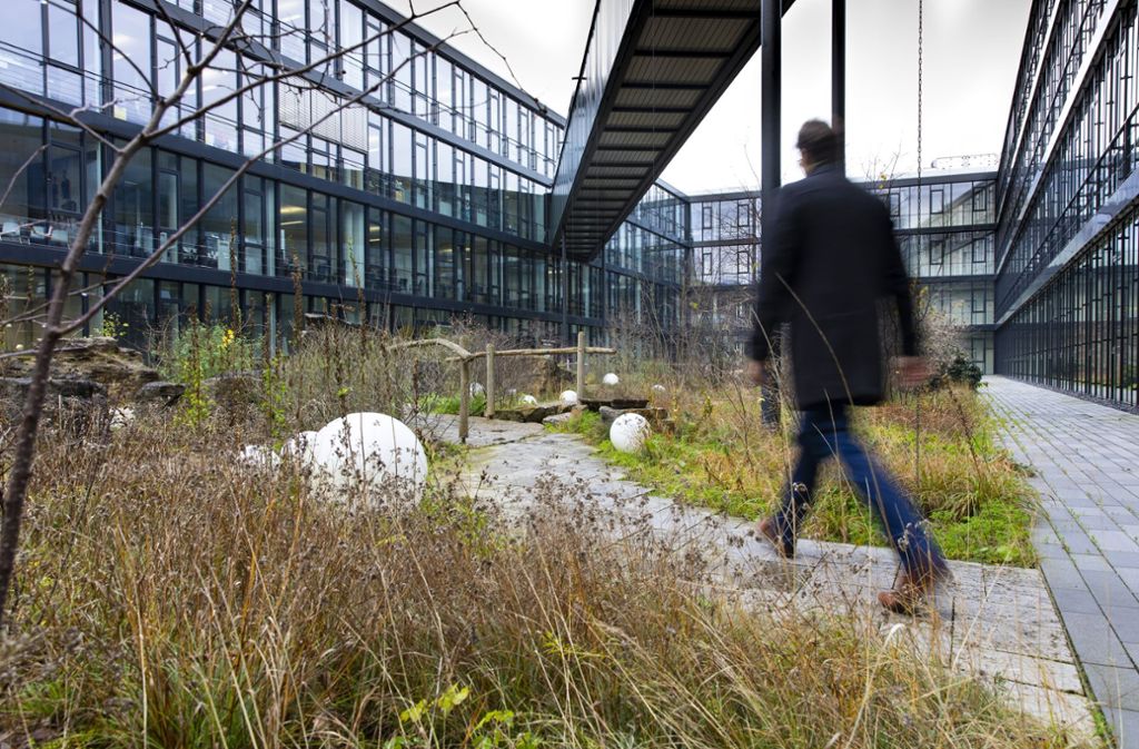 Der Weg ins Büro führt durch einen „Naturgarten mit Landschaftscharakter“.