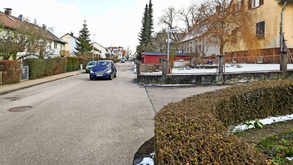 Straßensanierung in Hemmingen: Parkplätze oder neue Bäume?