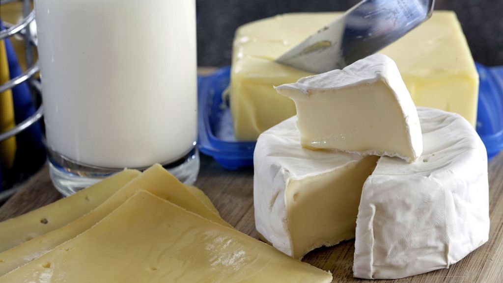 EuGH-Urteil: Kann der Geschmack eines Käses urheberrechtlich geschützt werden?