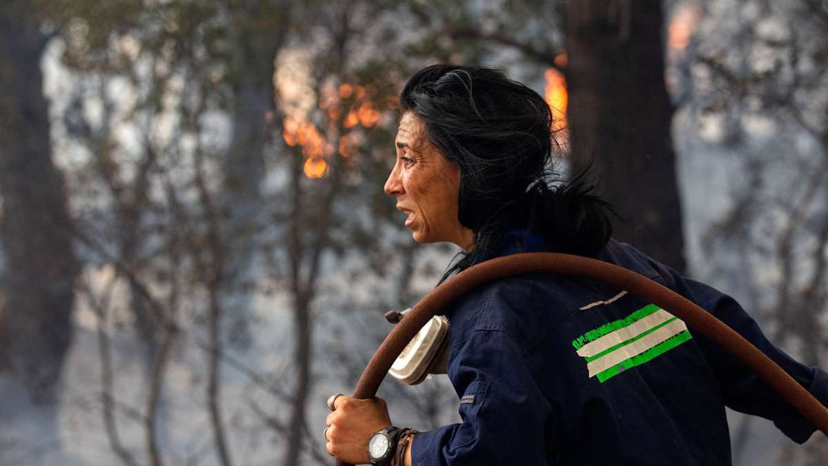 Waldbrände in Europa: Alles verbrannt, alles verloren