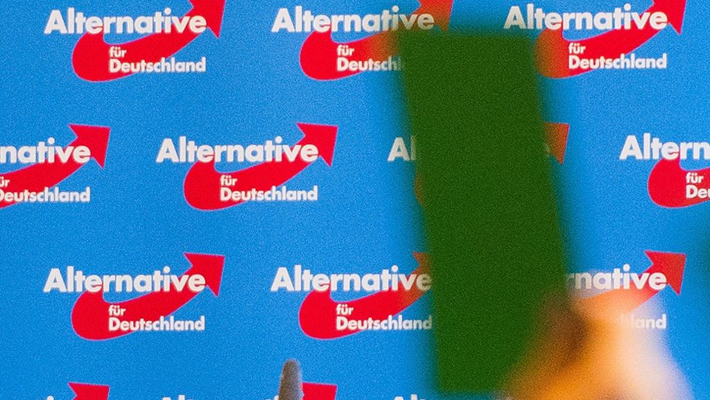  Der AfD-Kreisvorstand in Mannheim wird von Schiedsgericht der Landespartei kurzerhand abgesetzt. Hinter den Kulissen geht es um Listenplätze vor der Bundestagswahl und um einen Flügelkampf in der Partei. 