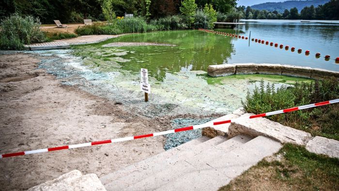 Badeverbot in Plüderhausen: Bakteriengifte und Fäkalkeime in See