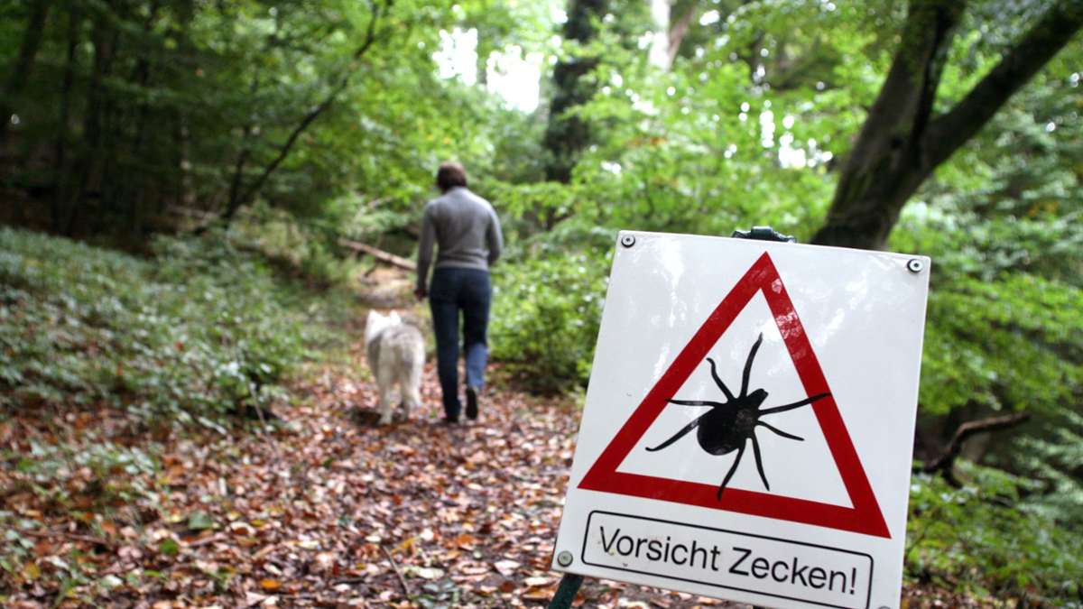 Stuttgart: Experten warnen vor Infektionen - Zecken sind bereits sehr aktiv