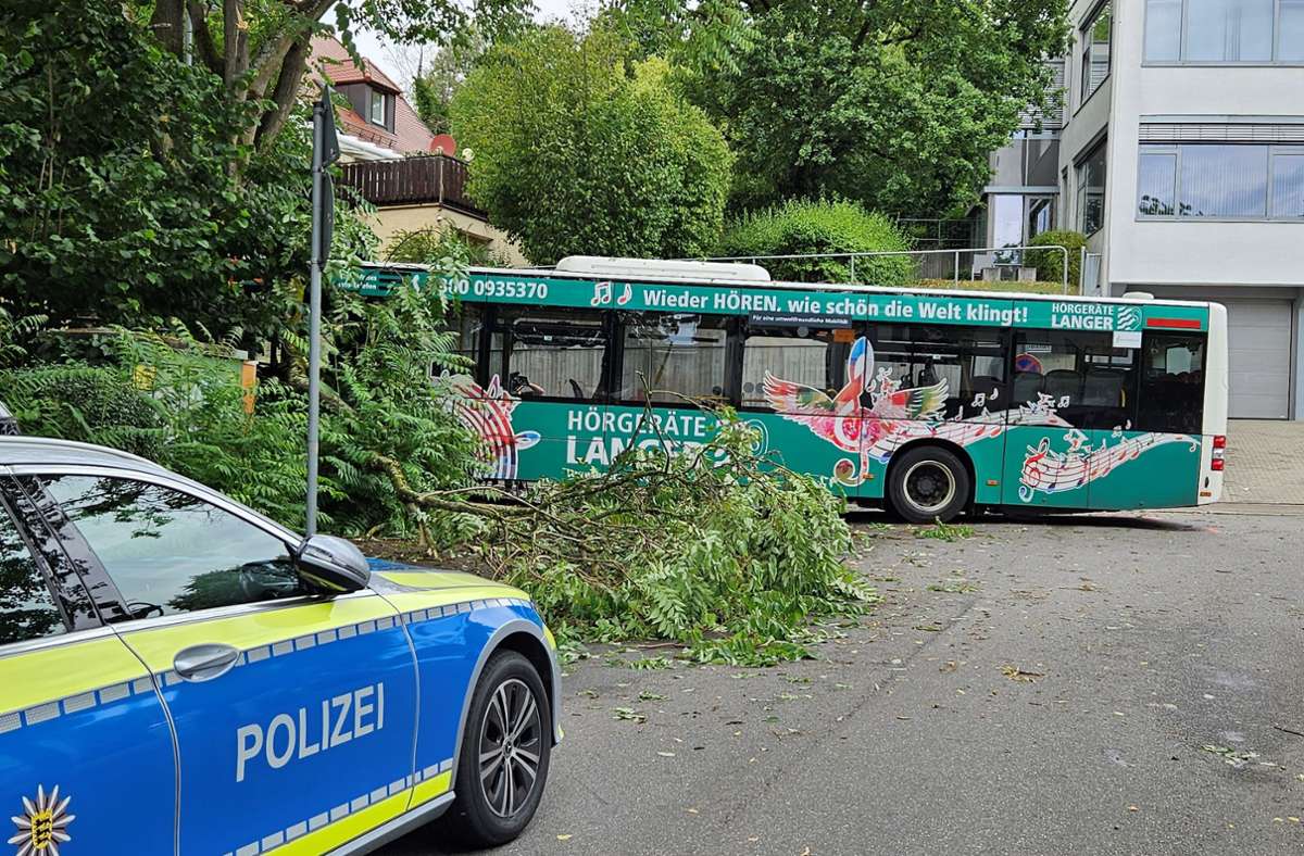 Offenbar hat ein medizinischer Notfall dafür gesorgt, dass der Busfahrer die Kontrolle über sein Fahrzeug verlor.