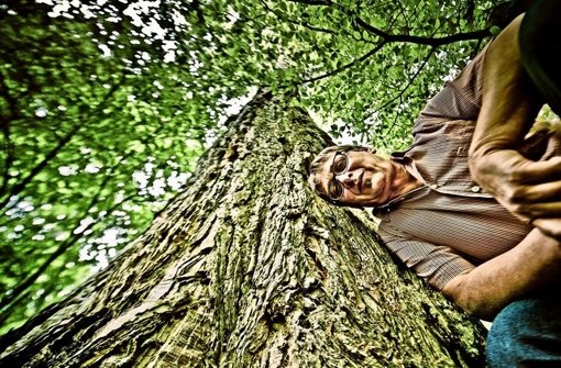Lutz Krüger hat über Mammutbäume geforscht. Die Riesen hätten ihn berührt, sagt er. Er habe sie deshalb nicht vergessen können. Foto: Andreas  Reiner