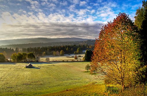 Schwarzwald im Herbst entdecken! Wandern und Wellness gleich vor der Haustür!  Foto: Nördlicher Schwarzwald