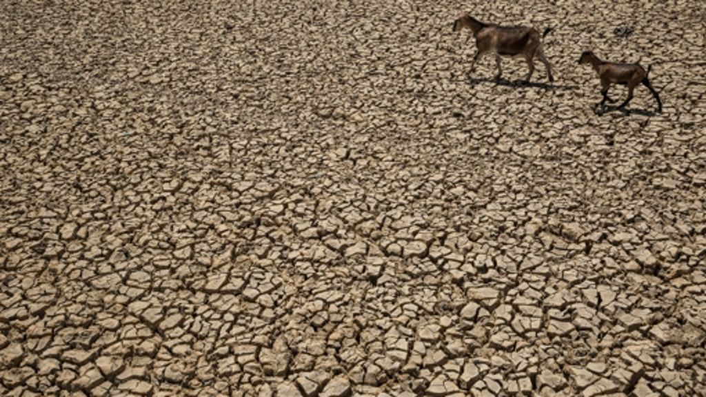  Das Klimaphänomen El Niño verursacht Wetterextreme in vielen Regionen der Welt und bedroht Millionen Menschen in Zentralamerika, Asien und vor allem auch Afrika. Hilfsorganisationen warnen vor einer neuen Hungersnot. Im Süden Afrikas drohen Dämme und Flüsse auszutrocknen. 