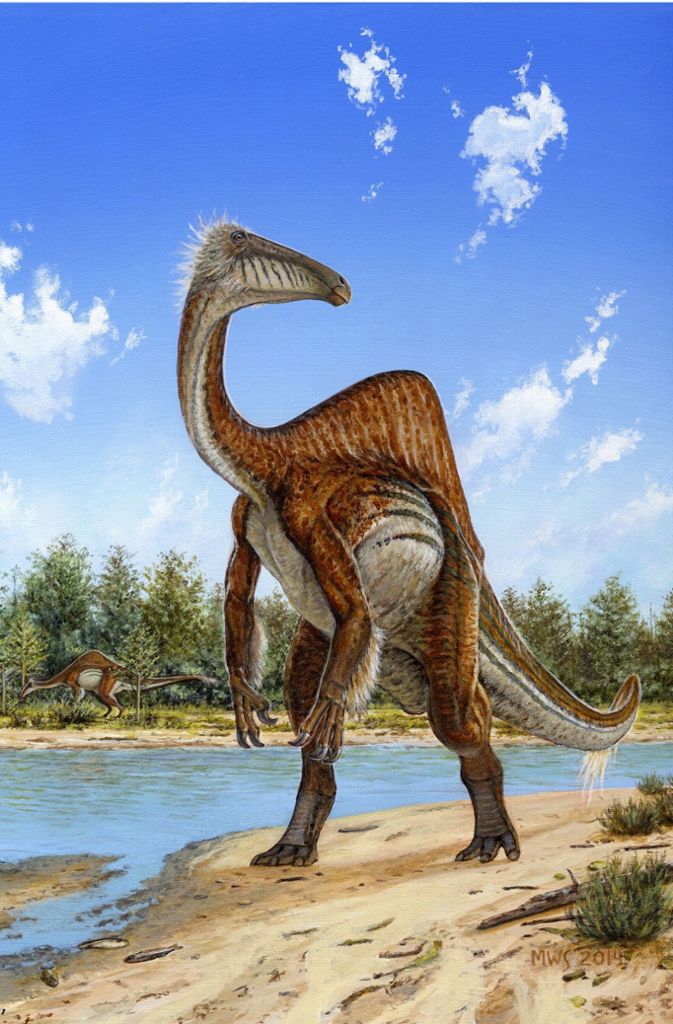 Die Illustration zeigt den Dinosaurier Deinocheirus mirificus. Er lebte vermutlich in der Nähe von Flüssen. Dort suchte er wohl am Grund nach Nahrung.