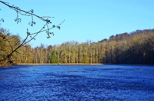 Der Katzenbachsee ist ein Kleinod und bei den Stuttgartern beliebt. Foto: Sandra Hintermayr