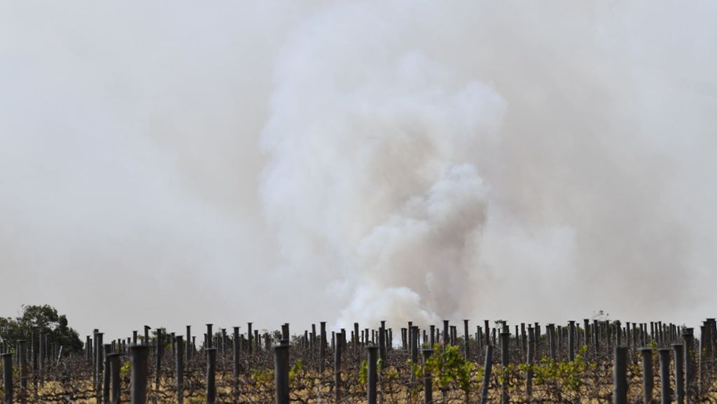  Grauer Himmel und rötliche Sonne: Die Rauchfahne der Buschbrände in Australien hat Chile und Argentinien über den Pazifischen Ozean hinweg erreicht. 