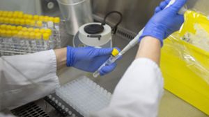 Stadt Stuttgart empfiehlt zur Absicherung  einen PCR-Test