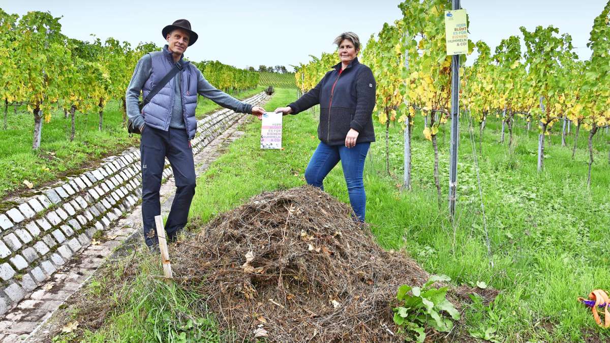 Naturschutz in Uhlbach: Insektenwiese abgemäht