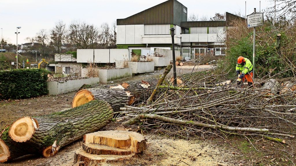 Rathausbau in Remseck: Für die Neue Mitte fallen Bäume