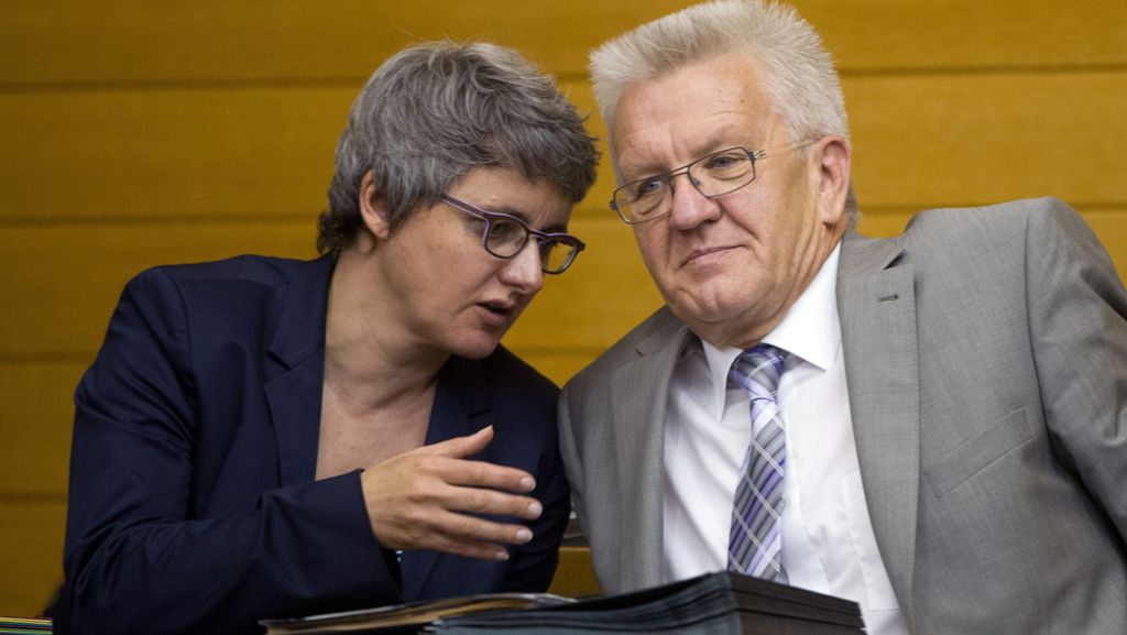 Frühere Grünen-Chefin Silke Krebs: Kurzer Ausflug der Ex-Ministerin zu neuen Ufern