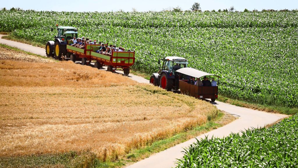 Felderrundfahrt Rutesheim: Die Krautäcker werden immer weniger