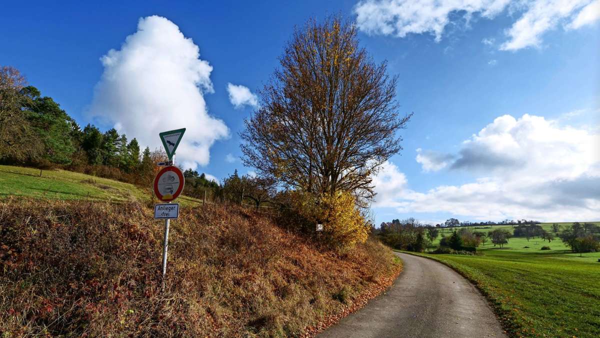 Wildes Wohnen in Heimsheim: Straßennamen für die Sicherheit
