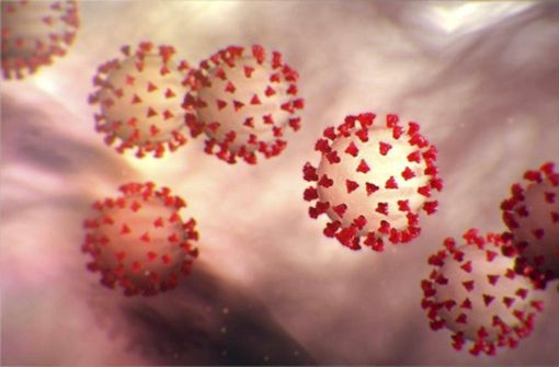 Das Coronavirus ist im französischen Elsass stark verbreitet. (Symbolbild) Foto: imago images /ZUMA Press