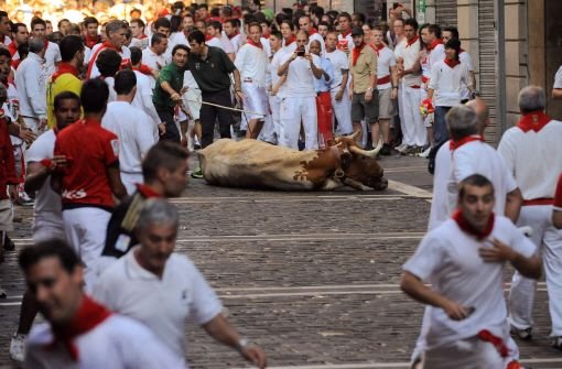 Tierschützer kritisieren das alljährlich stattfindende San Fermin Fest in Pamplona bereits seit Jahren. Foto: dpa/AP