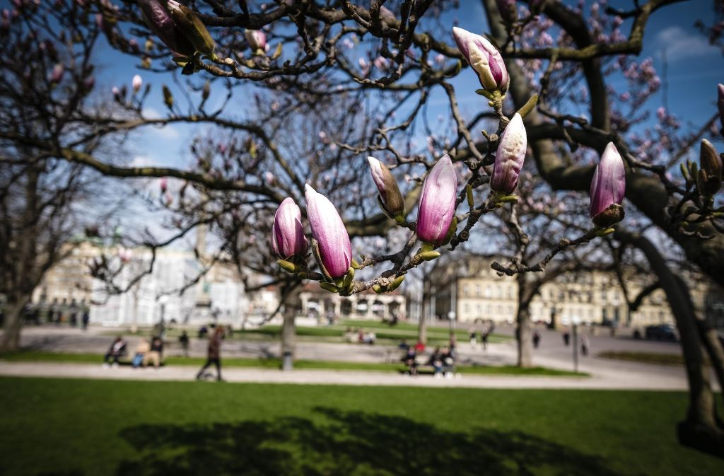 Am Wochenende zeigt sich in Stuttgart und der Region der Frühling von seiner besonders schönen Seite.