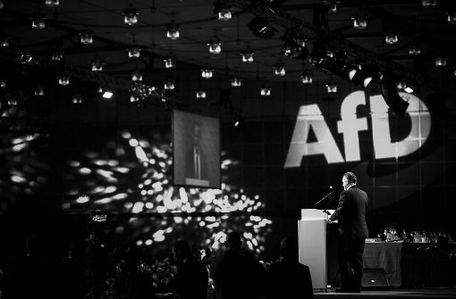 Bei der AfD hat der Bundesparteitag in Hannover viele Fragen aufgeworfen. Foto: Getty Images Europe