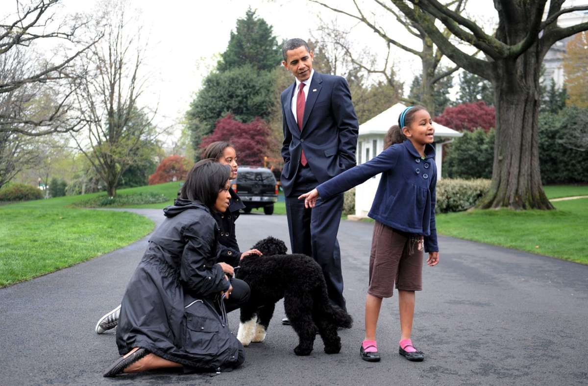 Bo zog 2009 ins Weiße Haus ein. Die Obamas hatten ihren Töchtern während des Wahlkampfs einen Hund versprochen – egal, ob ihr Vater gewinnen würde oder verlieren.