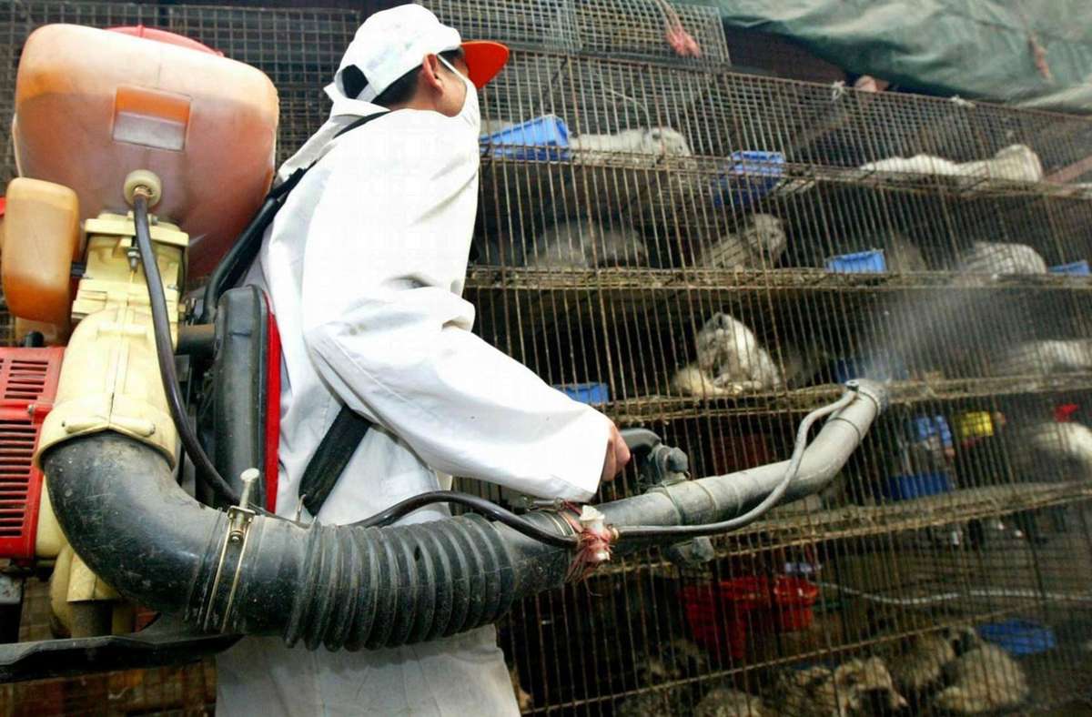 Ein Arbeiter im chinesischen Guangzhou desinfiziert auf einem Wildtiermarkt Käfige mit Larvenrollern. Angesichts der Corona-Krise fordern immer mehr Forscher ein globales Frühwarnsystem für Viren aus dem Tierreich. Eine frühzeitige Entdeckung könnte in Zukunft ähnliche Pandemien verhindern