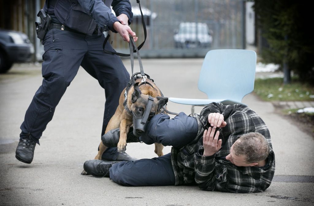 Auch mit Beißkorb ist der Polizeihund Change in der Lage, einen Angreifer umzustoßen . . .