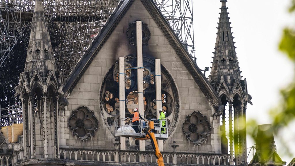 Bienen-Wunder von Notre-Dame: Bienenstöcke auf dem Dach überleben das Flammeninferno