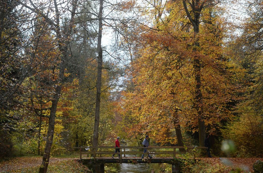 In Donaueschingen zum Beispiel zeigt sich der Herbst ebenfalls von seiner besten Seite.