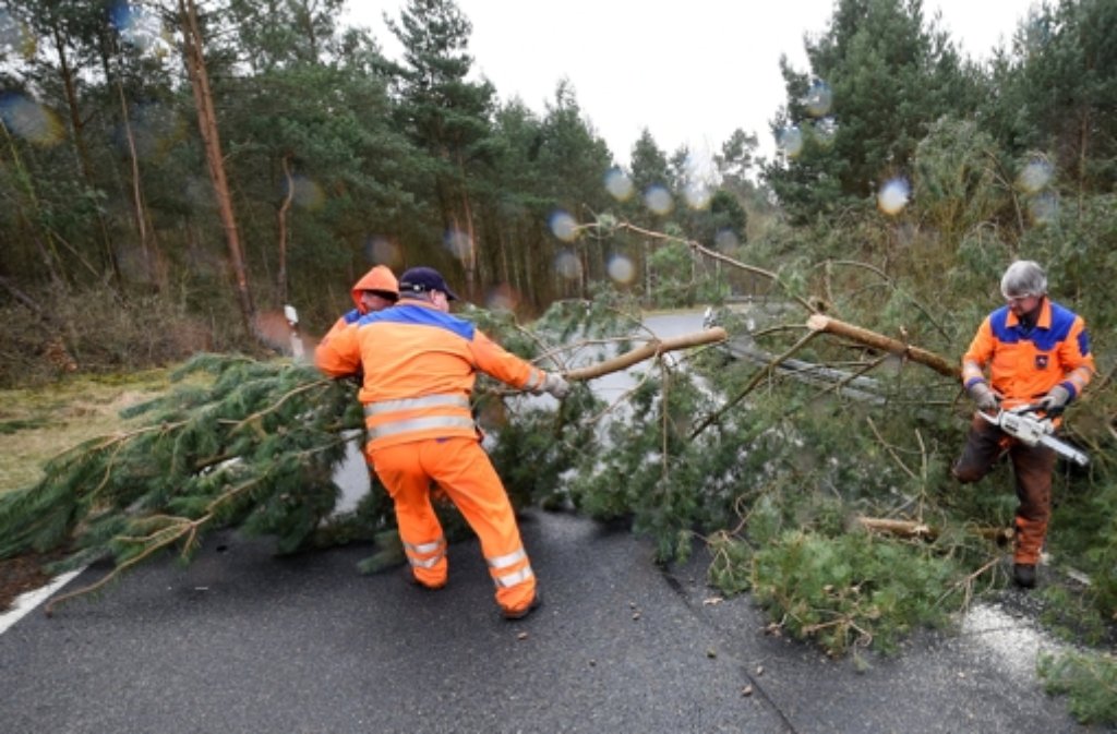 Ein umgestürzter Baum wird an einer Ausfahrt der Bundesstrasse 6 bei Bordenau (Niedersachsen) von Mitarbeitern des Straßenbauamtes zersägt und fortgeräumt.