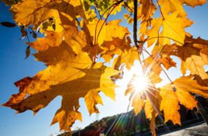 Oktober war überdurchschnittlich sonnig – und zu trocken