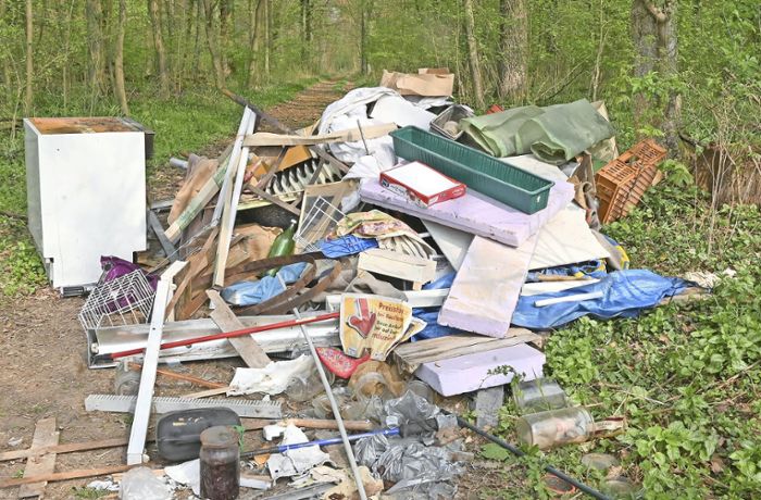Wilder Müll im Kreis Böblingen: Illegaler Abfall wächst auf 666 Tonnen